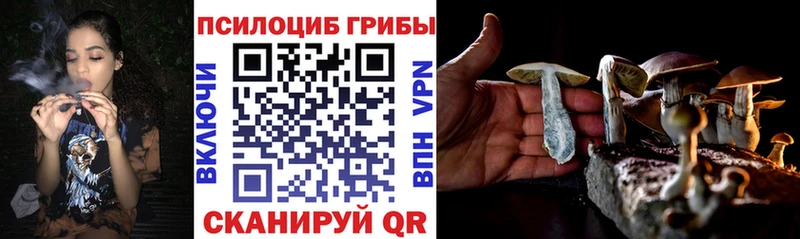 Галлюциногенные грибы Psilocybine cubensis  Купить закладки  Горняк 